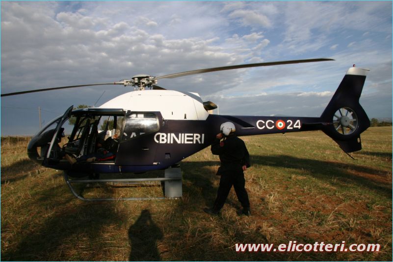 elifoto (164)